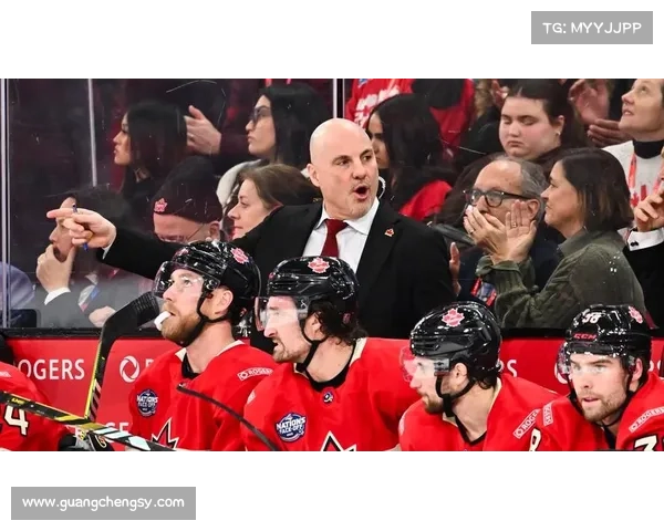 康纳·麦大维德状态回暖引领NHL季后赛首轮激战火药味十足