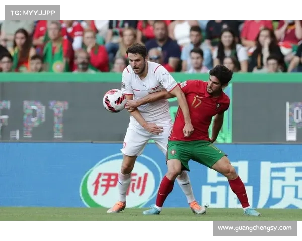 捷克青年联赛：探索欧洲足球未来之星的竞技舞台与发展潜力